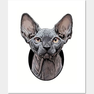 Look at me sphynx cat Posters and Art